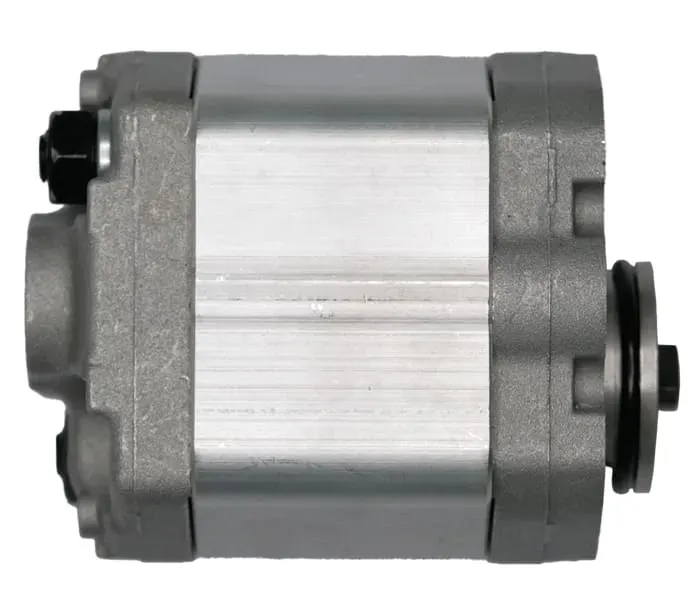 Насос шестеренчатый (чугун)  0301005 CBD1-F2-4.2L4Z-CC купить